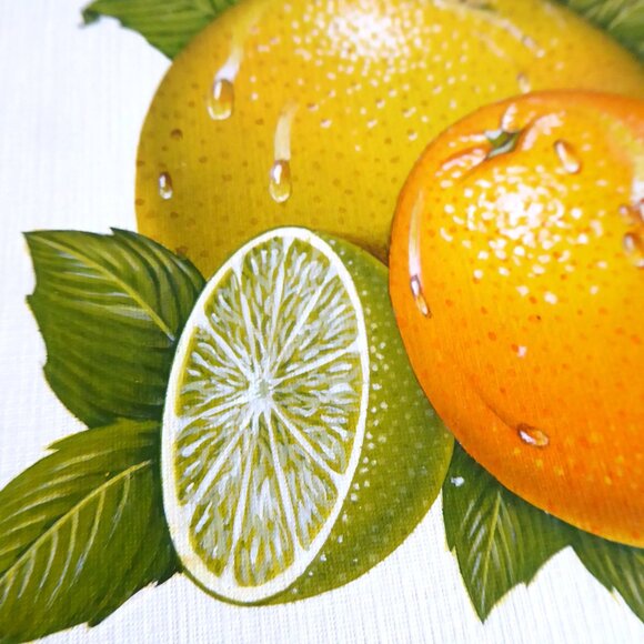 OOAK ORIGINAL ARTWORK CITRUS FRUIT STILL LIFE ILLUSTRATION BY BILL HALL - Picture 3 of 4